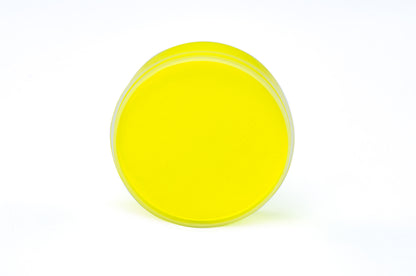 AMARILLO NEON